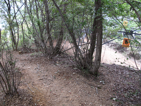 20151006hike (214)